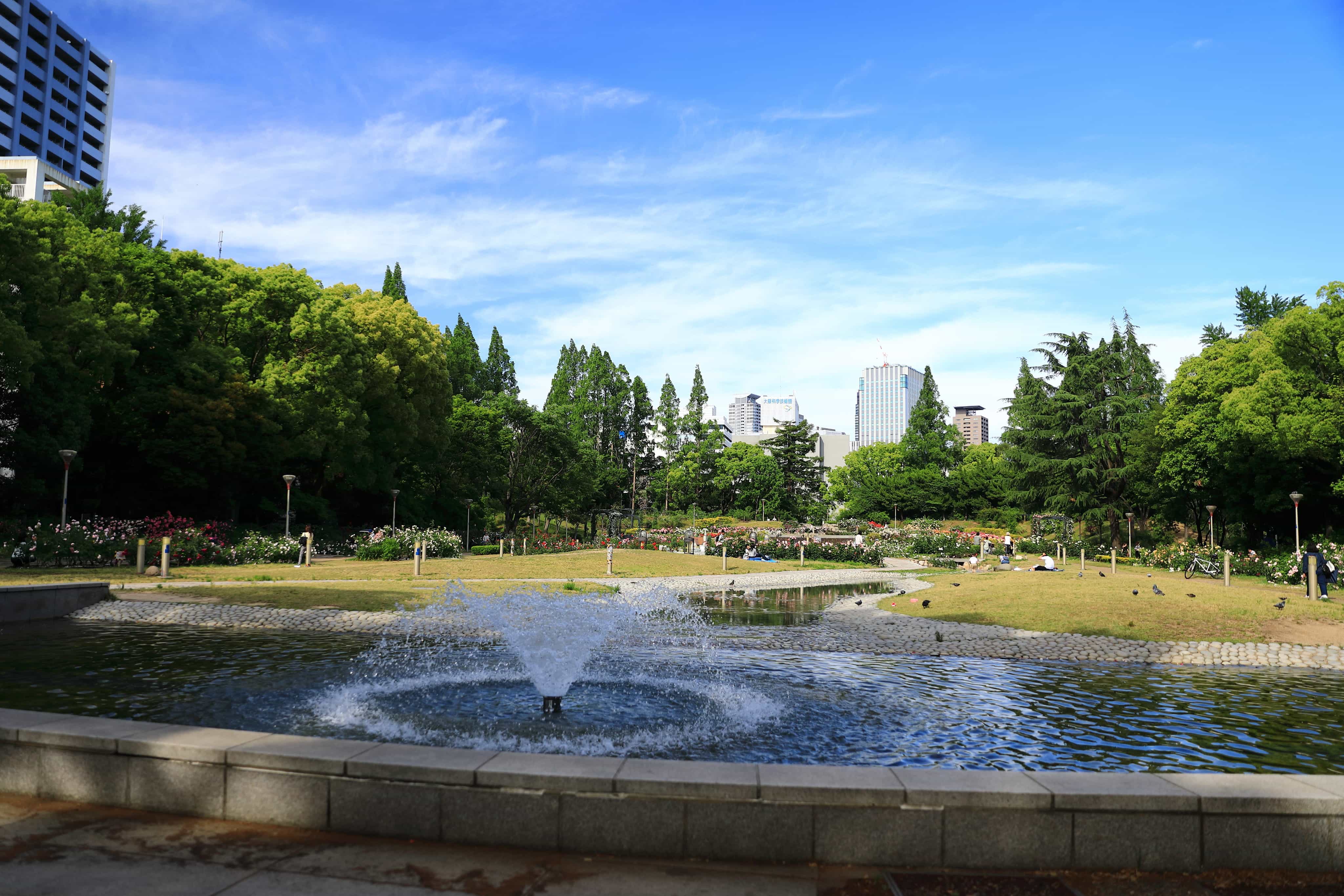 地域の公園風景